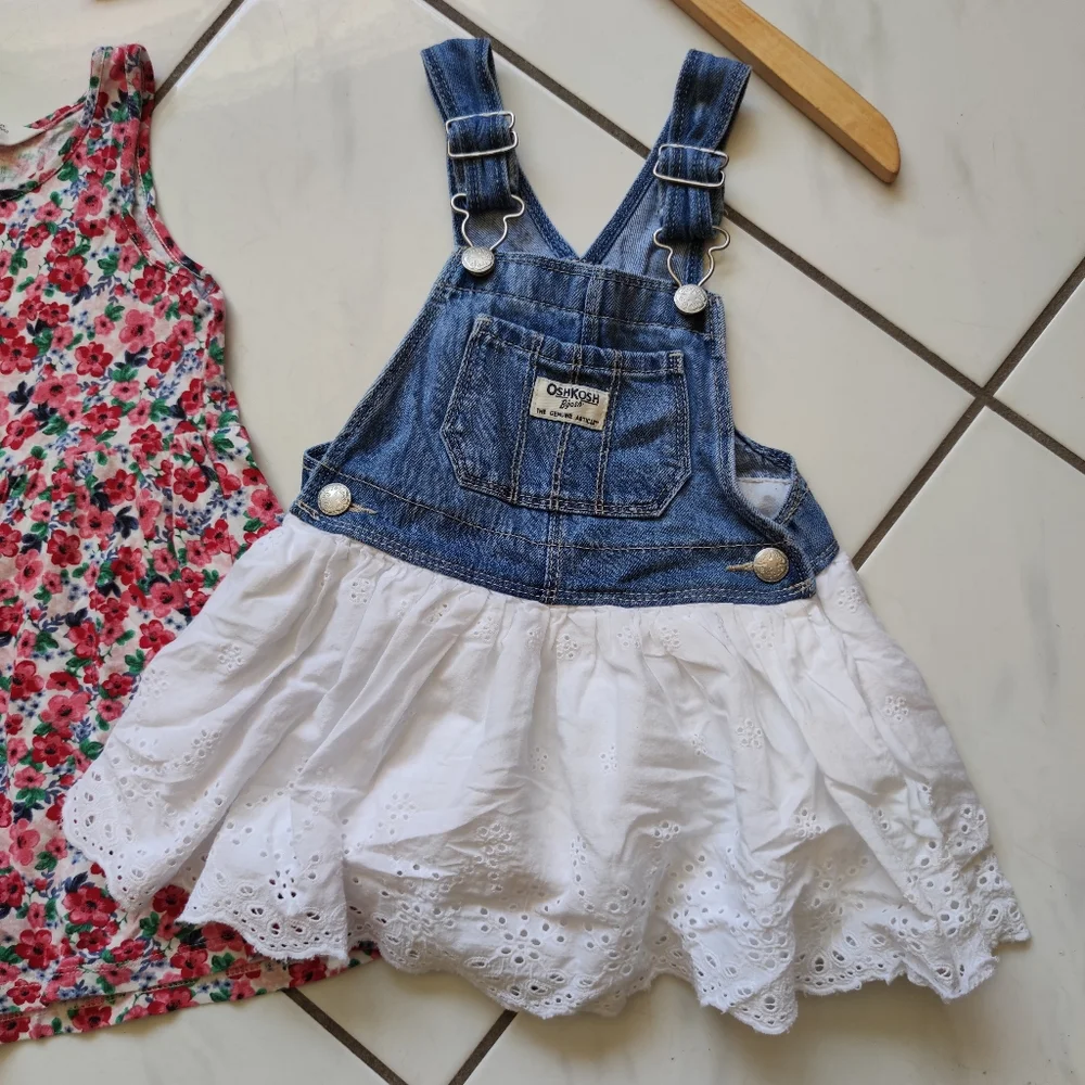 Oshkosh H&M 💜 2 Dress Floral Demim Eyelet Jumper